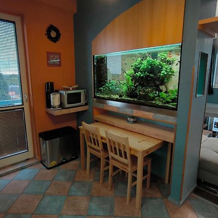 Suk Apartman 24 Suchdol nad Luznici Exteriér fotografie